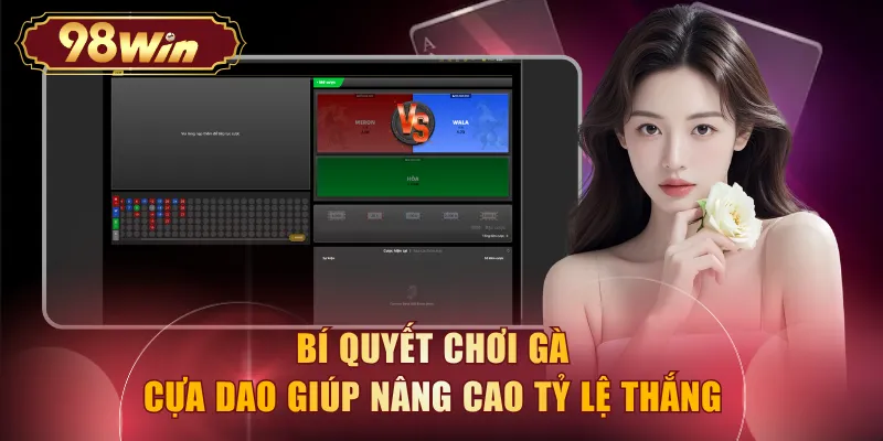 Bí quyết chơi gà cựa dao giúp nâng cao tỷ lệ thắng 